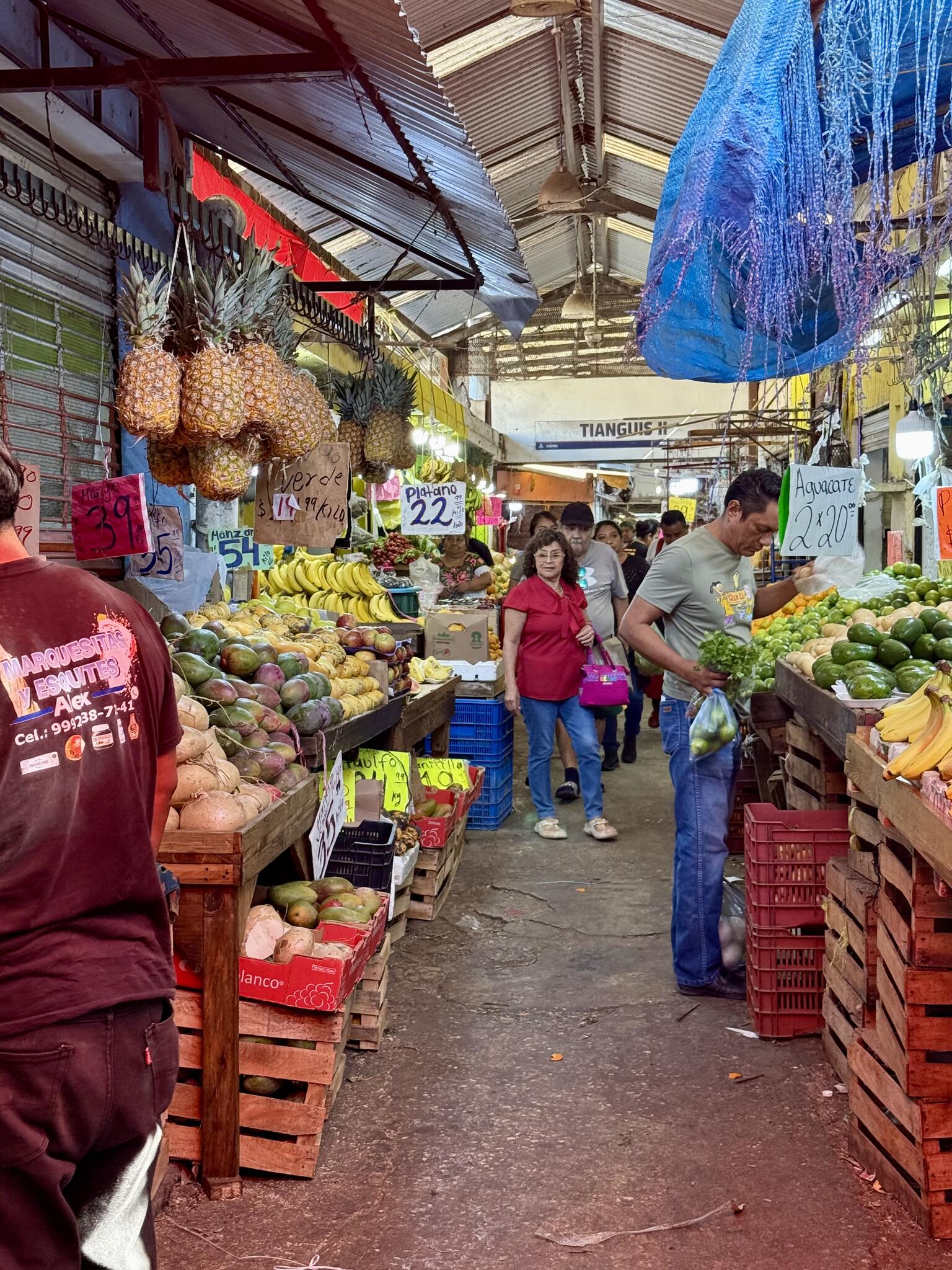 Mercado Lucas de Gálvez y Mercado de San Benito